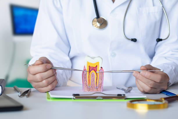 Best Emergency Tooth Extraction in Norman Park, GA